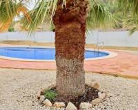 Resale - Appartement - La Romana