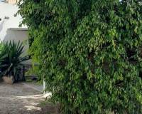 Resale - Appartement - Macisvenda