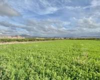 Resale - Appartement - Orihuela