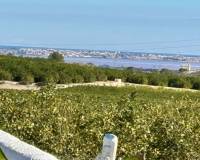 Resale - Appartement - San Miguel de Salinas