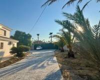 Resale - Appartement - San Miguel de Salinas