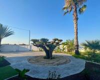 Resale - Appartement - San Miguel de Salinas