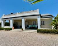 Resale - Appartement - Torrellano