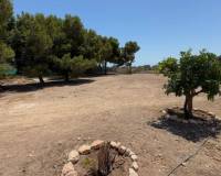 Resale - Appartement - Torrellano