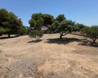 Resale - Appartement - Torrellano