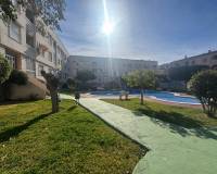 Resale - Appartement - Torrevieja - Acequion