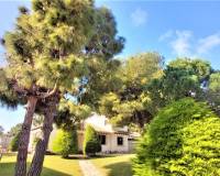 Resale - Appartement - Torrevieja