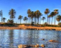 Resale - Appartement - Torrevieja