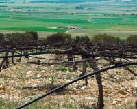 Resale - Appartement - Yecla