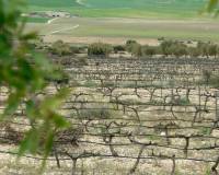 Resale - Appartement - Yecla