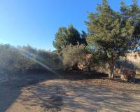 Resale -  - Avileses