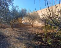 Resale -  - Avileses