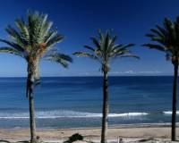 Resale - Bungalow - Pilar de la Horadada