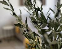 Resale - Bungalow - San Fulgencio