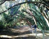 Resale - Bungalow - Torrevieja