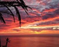 Resale - Bungalow - Torrevieja