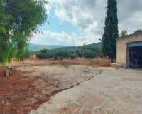 Resale -  - Chinorlet