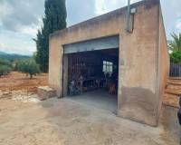 Resale -  - Chinorlet