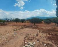 Resale -  - Chinorlet