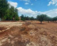 Resale -  - Chinorlet