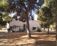 Resale - country house - Aspe