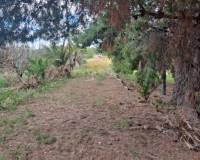 Resale - country house - Aspe