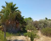 Resale - country house - Daya Nueva