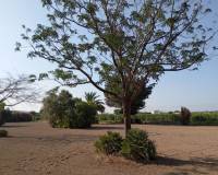 Resale - country house - Daya Nueva