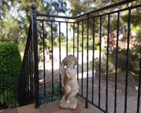 Resale - country house - Daya Nueva