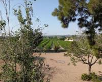 Resale - country house - Daya Nueva