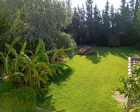 Resale - country house - Daya Nueva