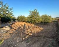 Resale - country house - Hondón de las Nieves