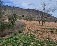 Resale - country house - Hondón de las Nieves