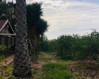 Resale - country house - Orihuela