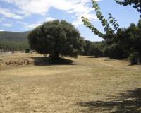 Resale - country house - Utiel