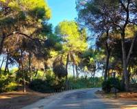 Resale -  - Dehesa de Campoamor - Campoamor