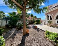 Resale - Detached House / Villa - El Chaparral - El chaparral