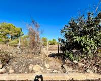 Resale - ДОМ РЯДОВОЙ ЗАСТРОЙКИ - Torrevieja - LA SIESTA