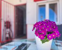 Resale - Duplex apartment - Torrevieja - Cabo cervera