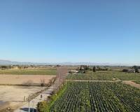 Resale - duplex -  - Daya Vieja