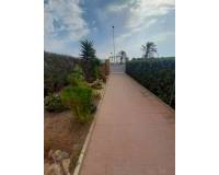 Resale - duplex - Torrevieja