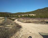 Resale - Finca - Bullas