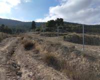 Resale - Finca - Bullas