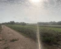 Resale - Finca - Callosa De Segura