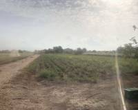 Resale - Finca - Callosa De Segura