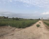 Resale - Finca - Callosa De Segura
