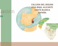 Resale - Finca - Callosa De Segura