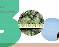 Resale - Finca - Callosa De Segura