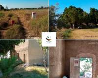 Resale - Finca - Callosa De Segura