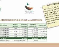 Resale - Finca - Callosa De Segura